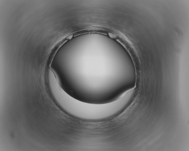 X0000113921269200910151432