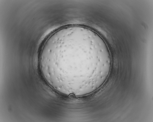 X0000113921270200910151432