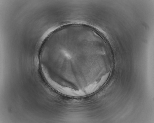 X0000113921271200910151431