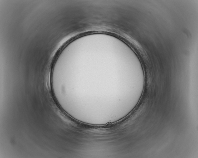 X0000113921272200910151431