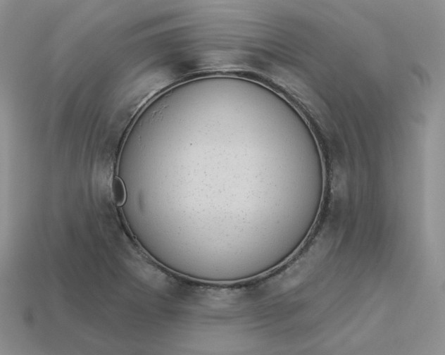 X0000113921273200910151431