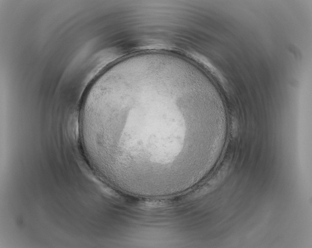 X0000113921274200910151431