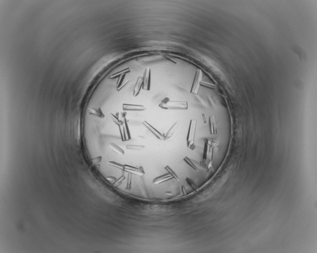 X0000113921275200910151431