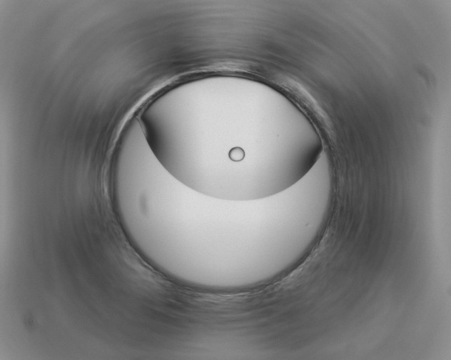 X0000113921276200910151431