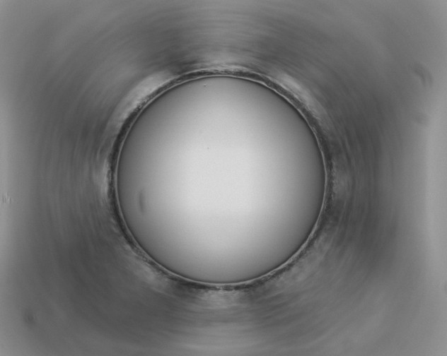 X0000113921277200910151431