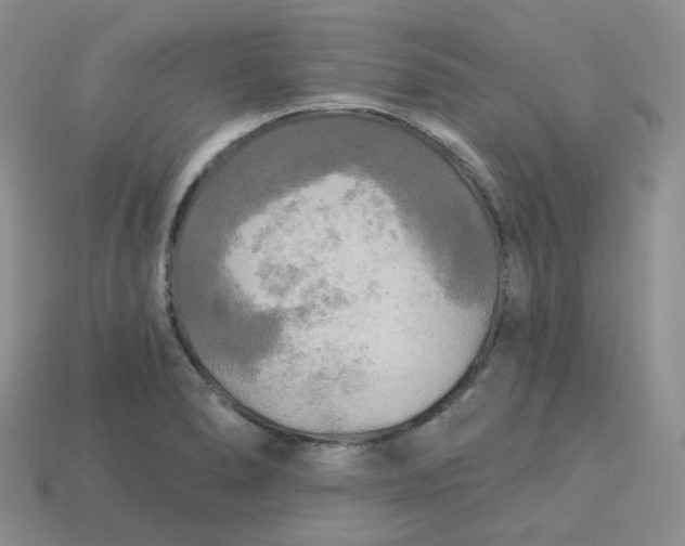 X0000113921278200910151431
