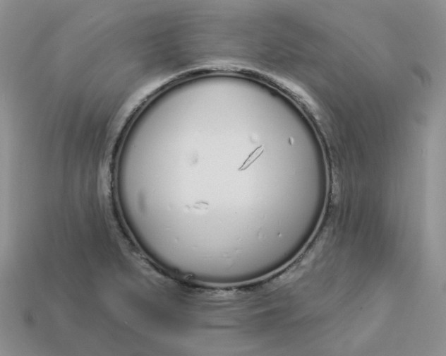 X0000113921279200910151431