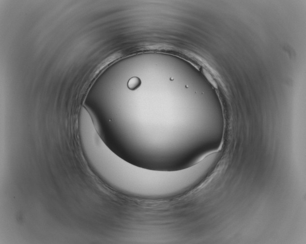 X0000113921281200910151431