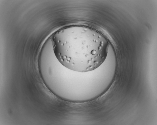 X0000113921284200910151431