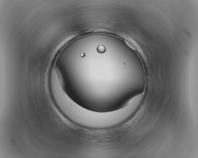 X0000113921285200910151431