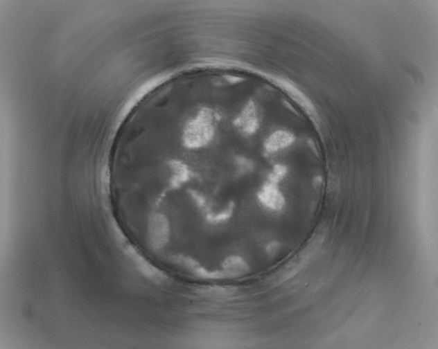 X0000113921287200910151431