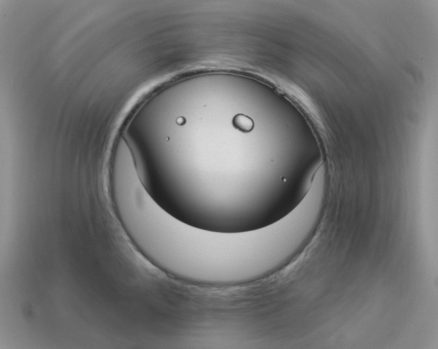 X0000113921288200910151431