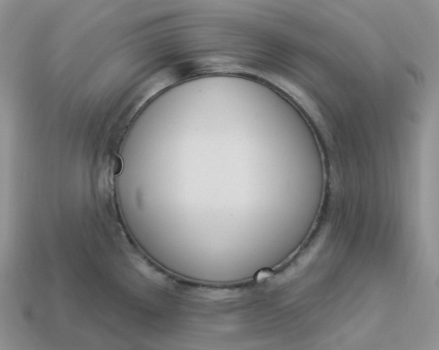 X0000113921289200910151431