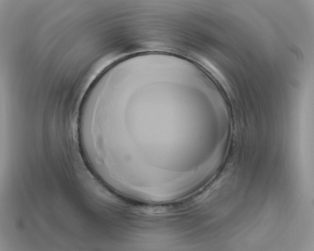 X0000113921291200910151431