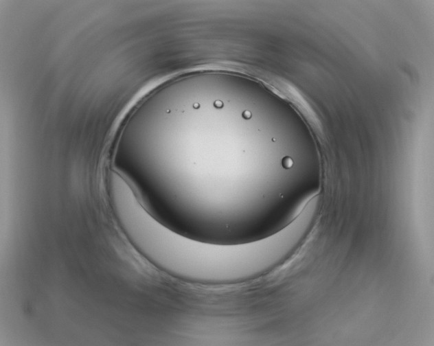 X0000113921292200910151431