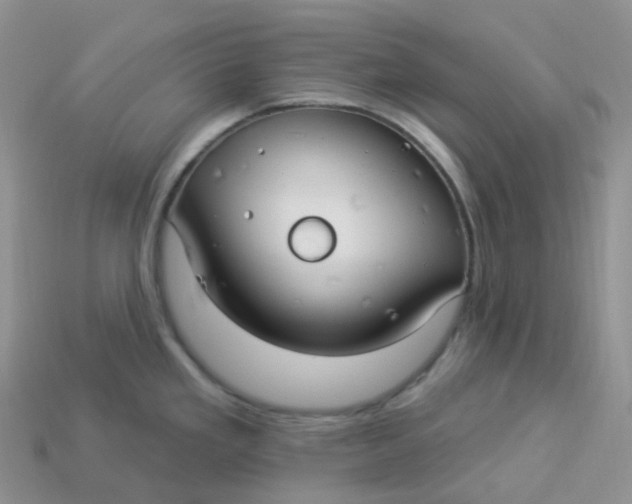 X0000113921293200910151431