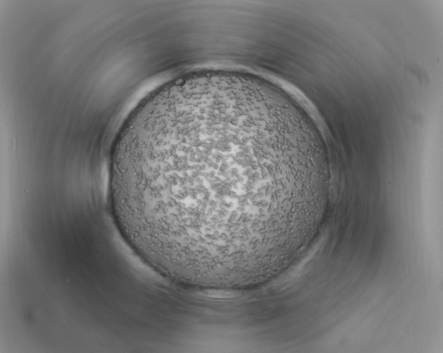 X0000113921295200910151431