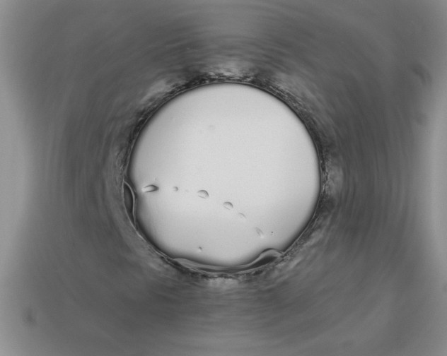 X0000113921297200910151431