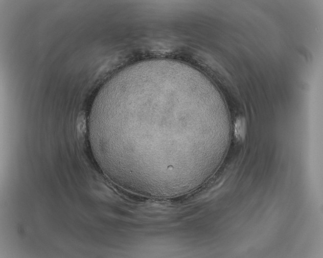 X0000113921299200910151431