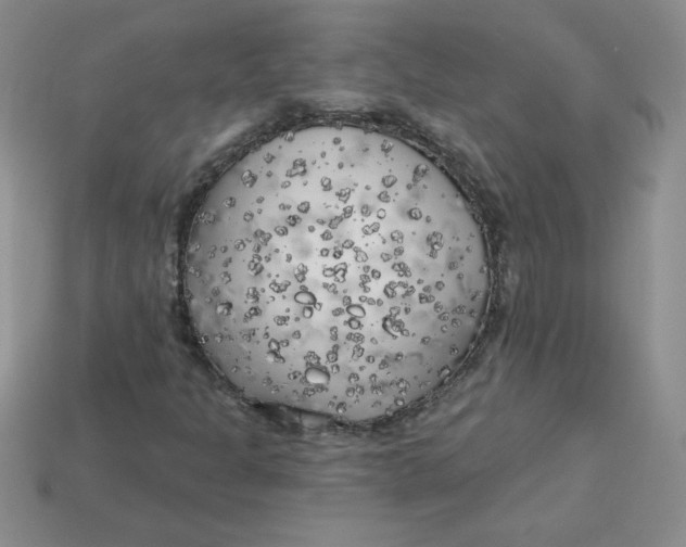 X0000113921301200910151431