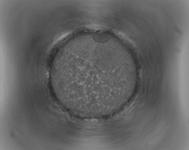 X0000113921302200910151431