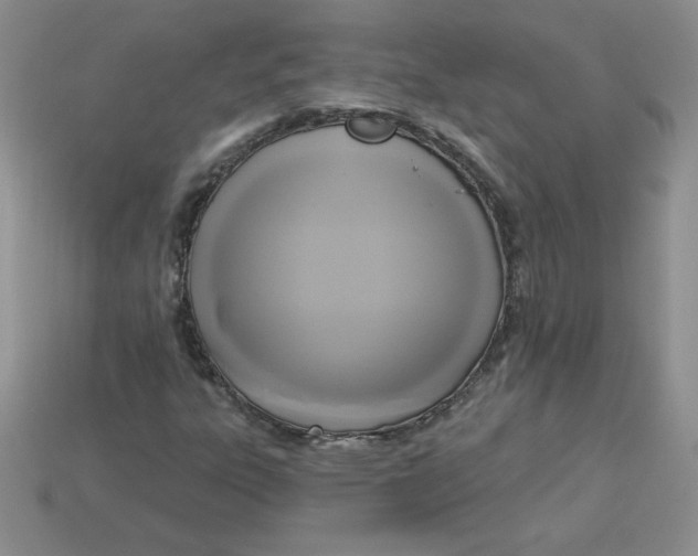 X0000113921303200910151431