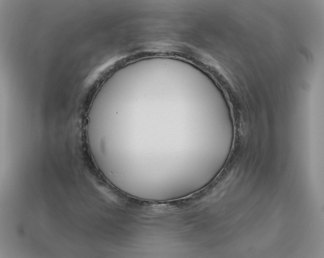 X0000113921304200910151431