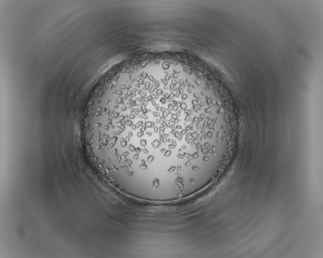 X0000113921305200910151431