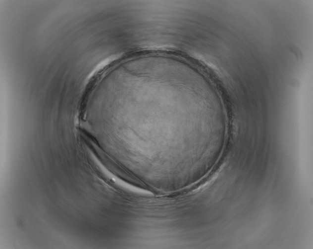 X0000113921306200910151431