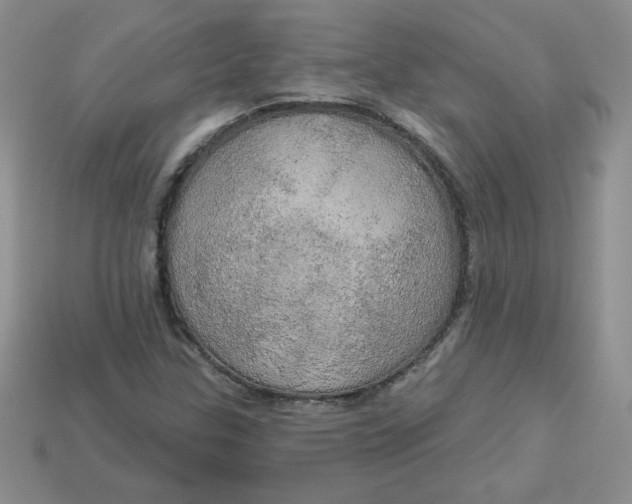 X0000113921307200910151431