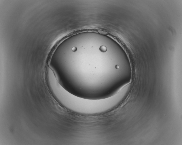 X0000113921308200910151431