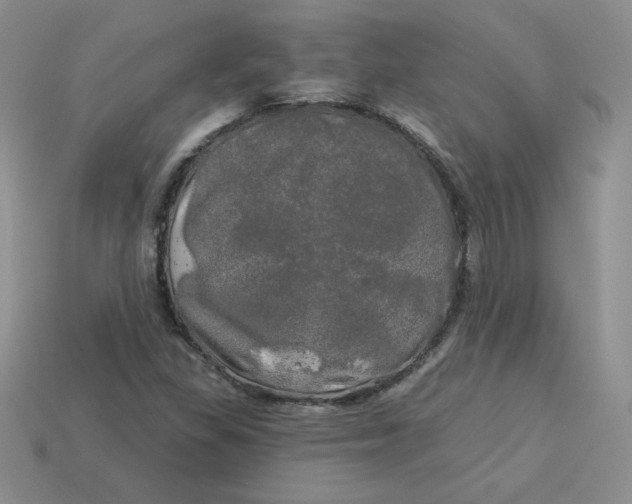 X0000113921309200910151431