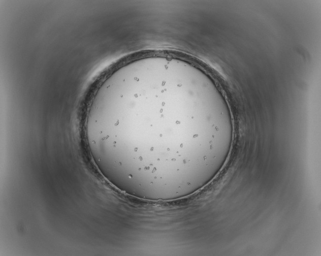 X0000113921311200910151431