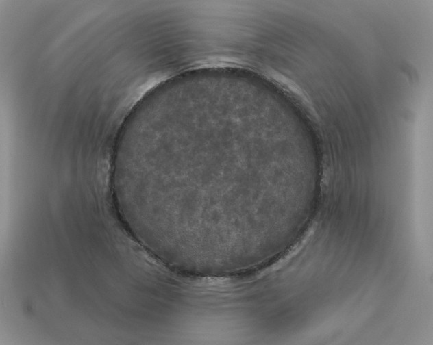 X0000113921313200910151431