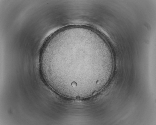 X0000113921315200910151431