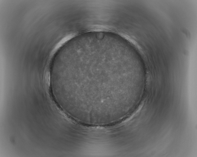 X0000113921317200910151431