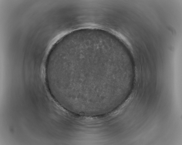 X0000113921318200910151431