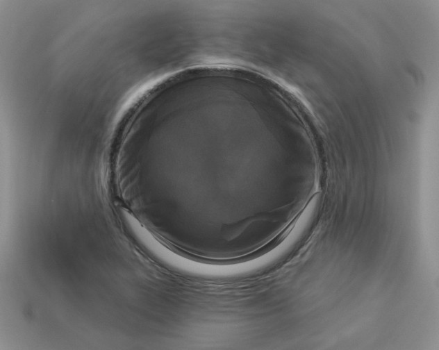 X0000113921319200910151431