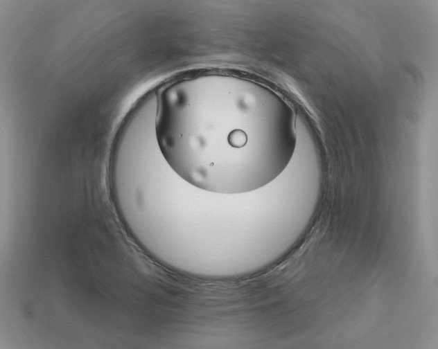 X0000113921320200910151431