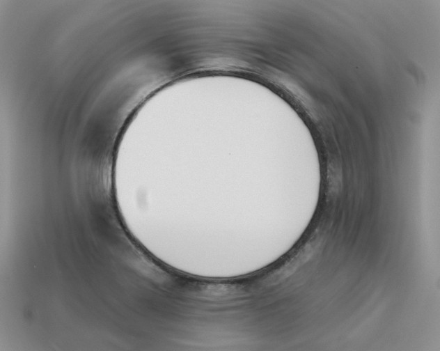 X0000113921322200910151431
