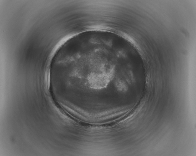 X0000113921323200910151431