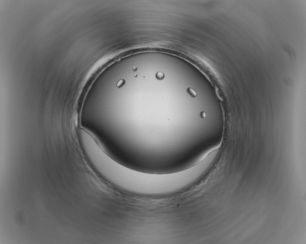 X0000113921324200910151431