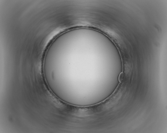 X0000113921326200910151431