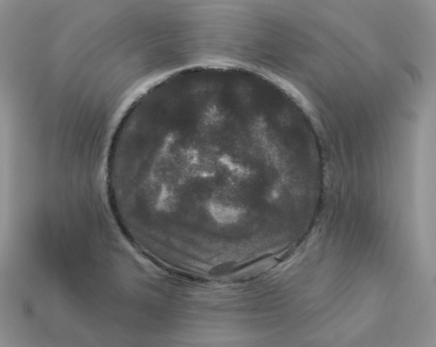 X0000113921327200910151431