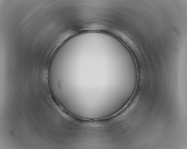 X0000113921329200910151431