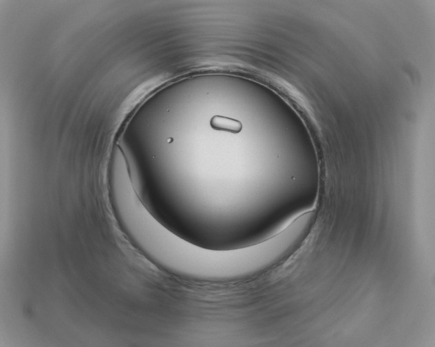 X0000113921330200910151431