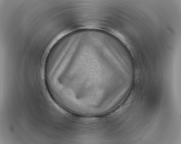X0000113921331200910151431