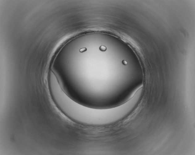 X0000113921334200910151431