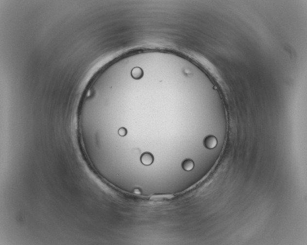 X0000113921335200910151431