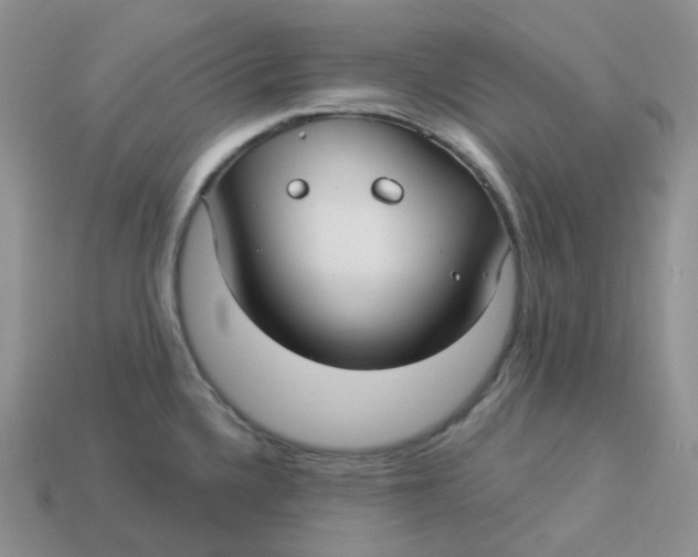X0000113921336200910151431
